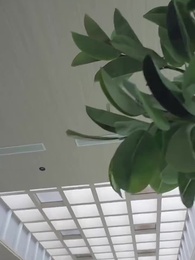 護國天醫 - Episode 33