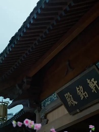 第88集 - 神醫毒妃