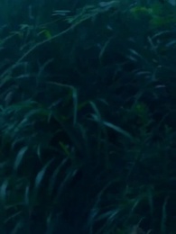 錢金金的馭夫之路 - Episode 94