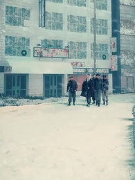 第26集 - 全球冰封：我打造了末日安全屋