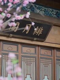 神醫毒妃 - Episode 29