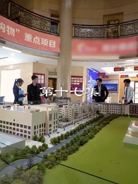 第17集 - 最弱醫武廢婿