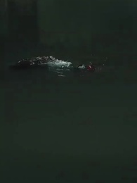 罗叉海柿 - Episode 23