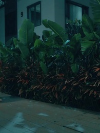 Meng Bao Shen Zhu Gong: Mama Dia Lagi Cantik dan Keren - Episode 2