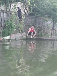 第66集 - 千金的替身之舞