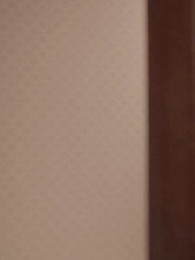 偏執總裁的追妻路 - Episode 41