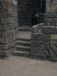 罗叉海柿 - Episode 55