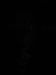 第2集 - 慕總的天價前妻