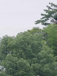 第71集 - 超級兵痞