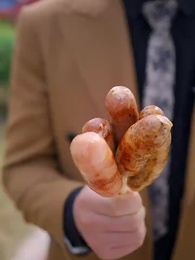 鳳凰帝尊 - Episode 45