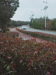 盛總，夫人回來要誅心 - Episode 92