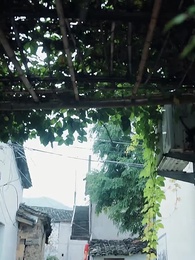 罗叉海柿 - Episode 3