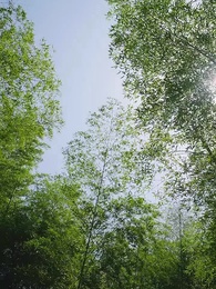 女帝的貼身總管 - Episode 70