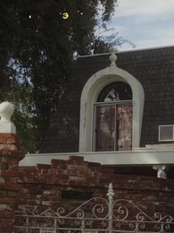 Episode 7 - Stealing My Icey Alpha