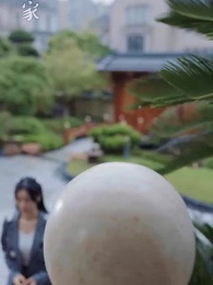 第3集 - 替身新娘：陸總的第一寵妻