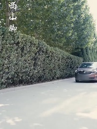 第12集 - 離婚後前夫哭著求復合