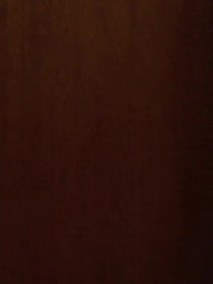 Episode 78 - Return of CEO's Lovely Wife