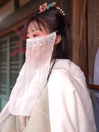 第11集 - 至尊駙馬爺