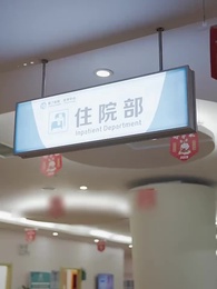 Episode 54 - Flash Marriage: My Husband is a Super Tycoon(Subtitled Version2)