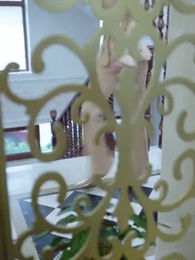 第53集 - 逍遙龍婿