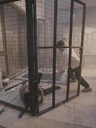 第81集 - 末世重生之絕地反擊