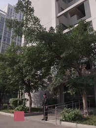 女總裁的超級保安 - Episode 28