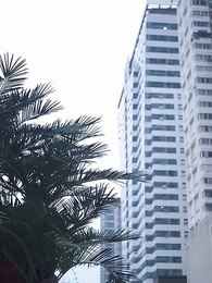 第58集 - 情深意動：傅少寵入骨