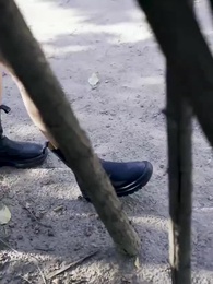 第61集 - 都市最強狂兵