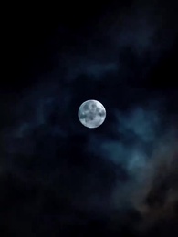 第3集 - 九州龍主