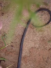 第10集 - 荒島求生