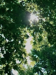 Episode 61 - The Unwanted Bride of Atticus Fawn