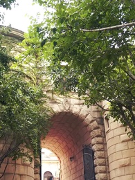 Mommy, We Need Daddy! CEO's Escaped Wife Returns - Pure Enjoyment Version - Episode 67