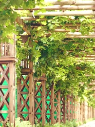 Episode 58 - Mommy, We Need Daddy! CEO's Escaped Wife Returns - Pure Enjoyment Version