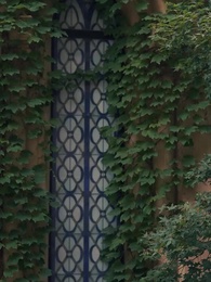 Episode 14 - Mommy, We Need Daddy! CEO's Escaped Wife Returns - Pure Enjoyment Version