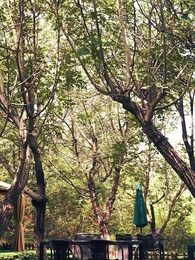 Mommy, We Need Daddy! CEO's Escaped Wife Returns - Pure Enjoyment Version - Episode 53