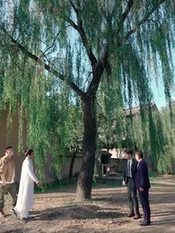 第56集 - 九龍天師