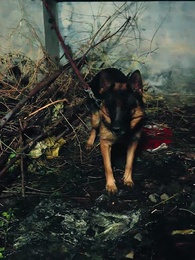 鄉村大帝 - Episode 19