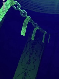 第41集 - 九龍天師