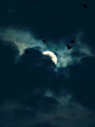 第68集 - 九龍天師