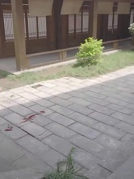 Episode 76 - [Dubbed] Empire of Favored Love