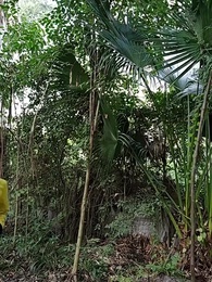 第62集 - 重回80，逆襲從拒婚開始