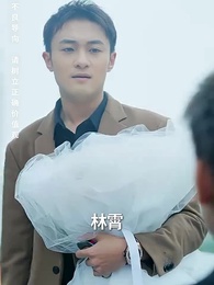 護國利劍 - Episode 25