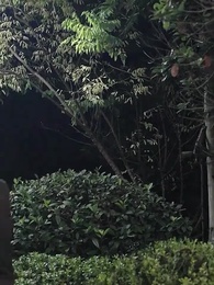 [Dubbed] Winning Back Mr. Fu's Favor - Episode 95