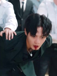 第14集 - 華夏龍組