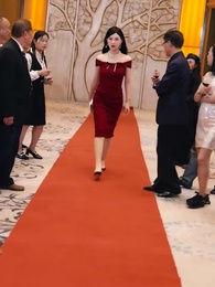 第49集 - 華夏龍組