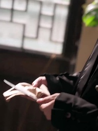 Episode 82 - [Dubbed] Bride in Disguise