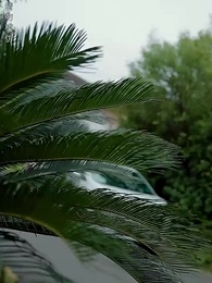 煉獄五年，出獄歸來竟被無情搶婚 - Episode 77