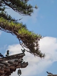 第24集 - 一品江山