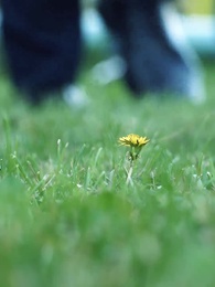 Episode 51 - Evolved Warrior: Domination