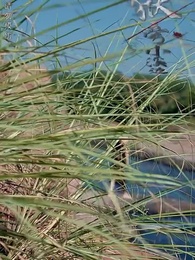 第6集 - 煉獄五年，出獄歸來竟被無情搶婚